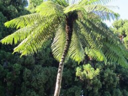 Fêtons le travail 01/05/2012